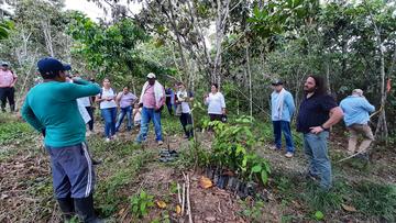 Agroecological platform, ABRIGUE project, Colombia © P. Tittonell, CIRAD