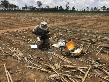 Experimental plot in Zimbabwe. © R. Cardinael, CIRAD