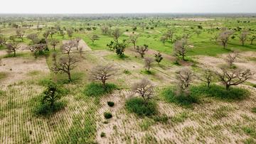 Landscape approach in Senegal. © L. Leroux, CIRAD